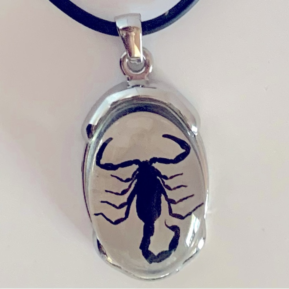🦂Real Scorpion Necklace - Unisex, Goth, Halloween